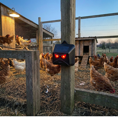 Revlixe Predator Eye Pro