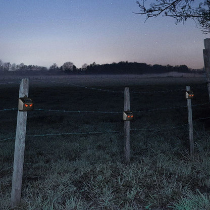 Revlixe Predator Eye Pro